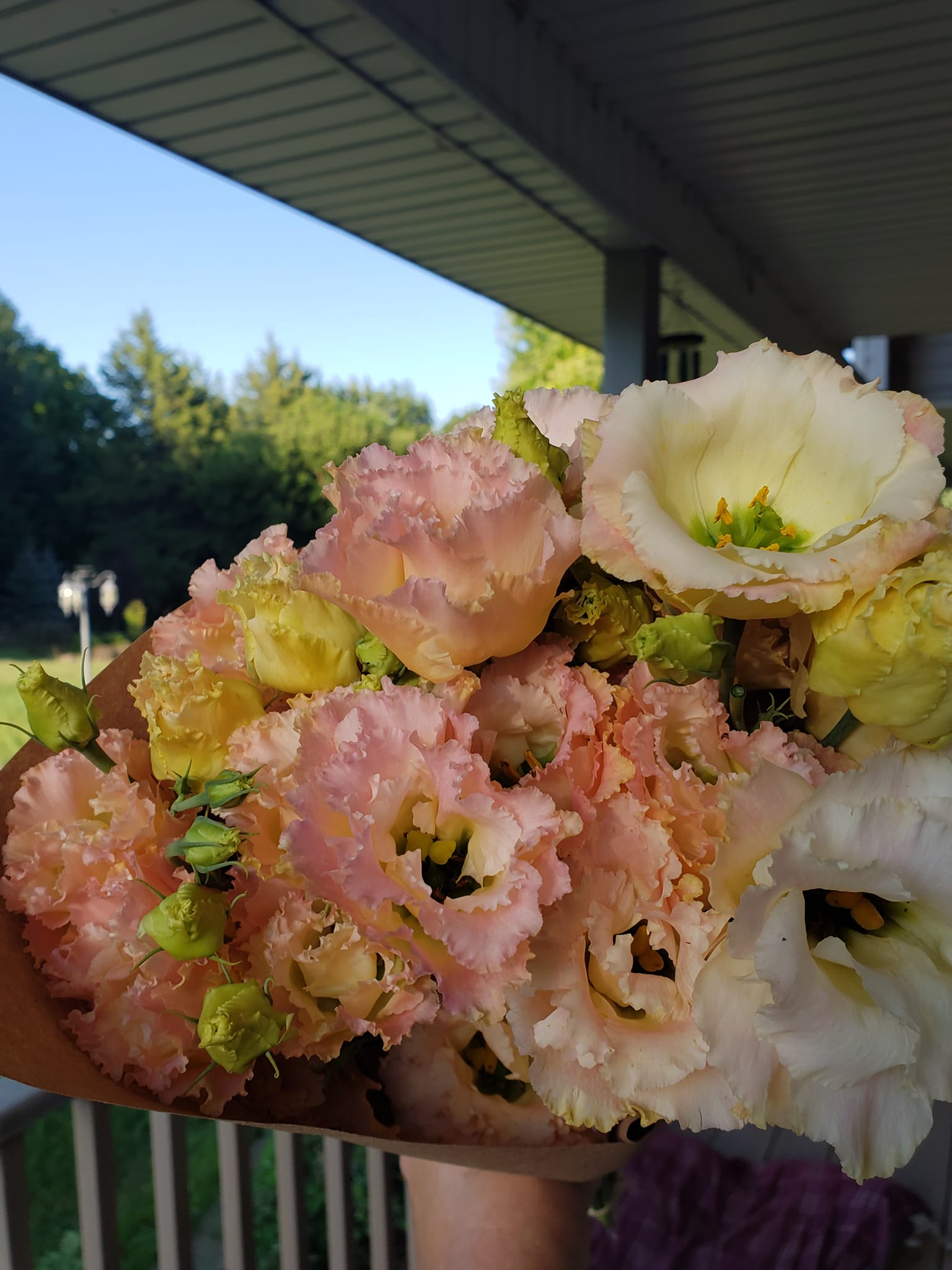 Twice a Month Bouquet Subscription